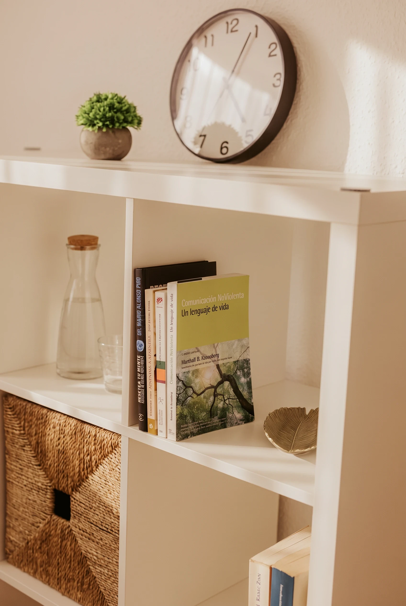 Detalle de la estantería de la consulta, con libros de psicología, una jarra de agua y un reloj de pared.