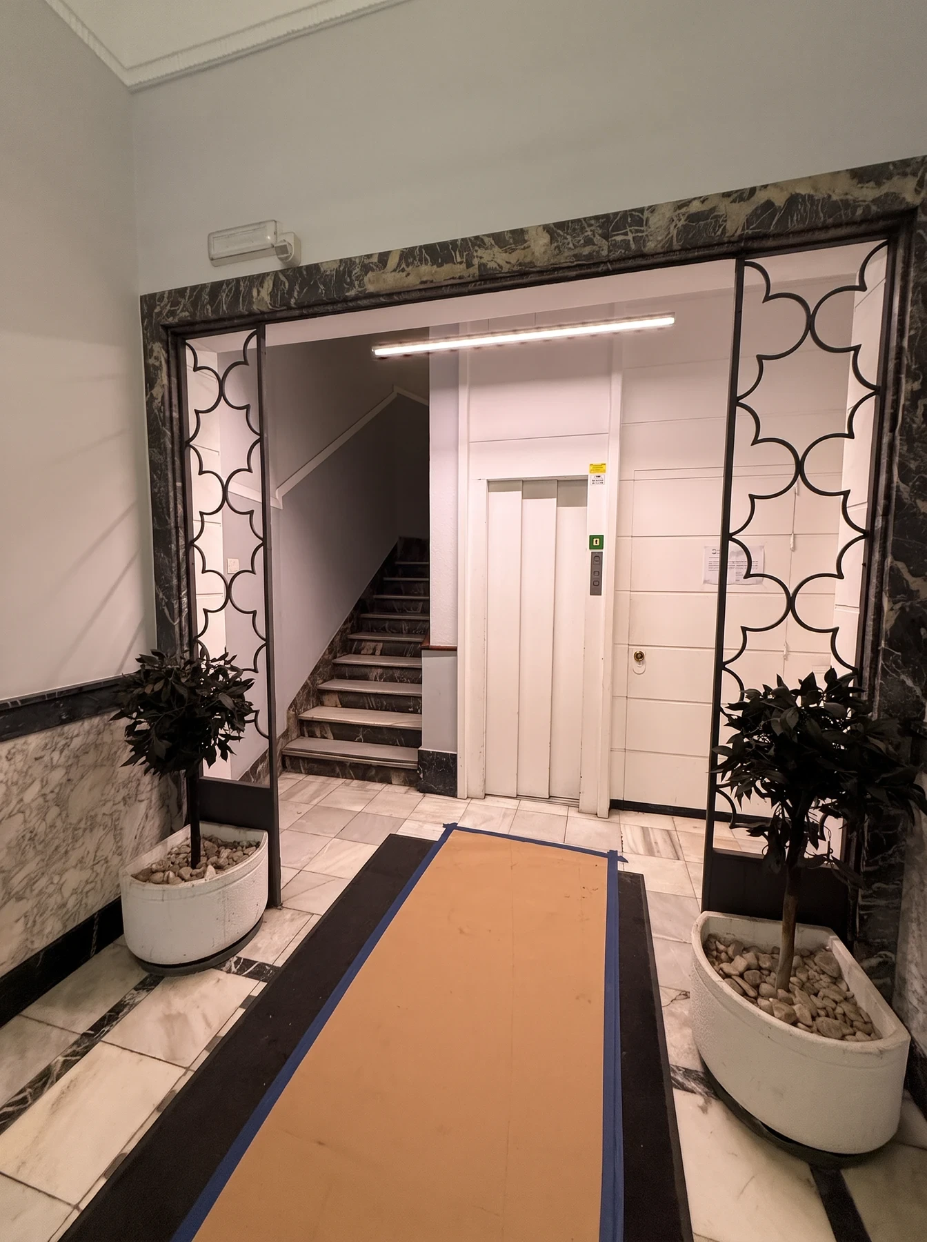 Vestíbulo del edificio con marco de mármol, rejas ornamentales, dos árboles en maceta y el ascensor al fondo.