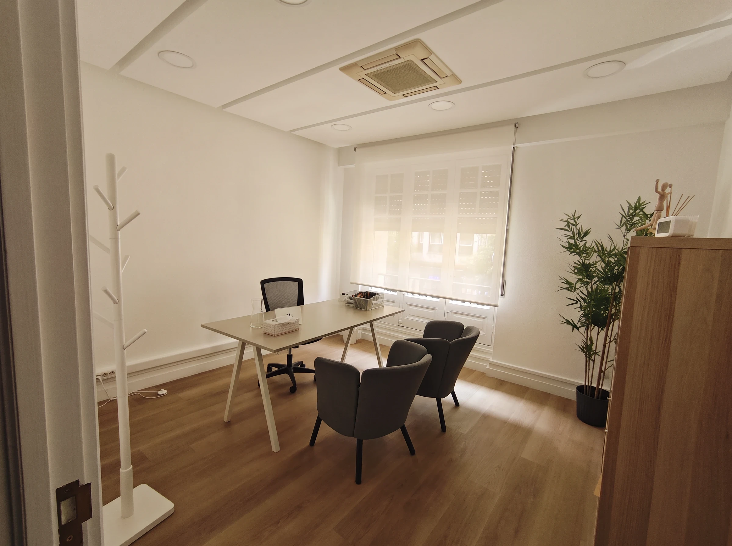 Consulta amplia con escritorio, butacas grises, una estantería de madera y una planta junto a la ventana.