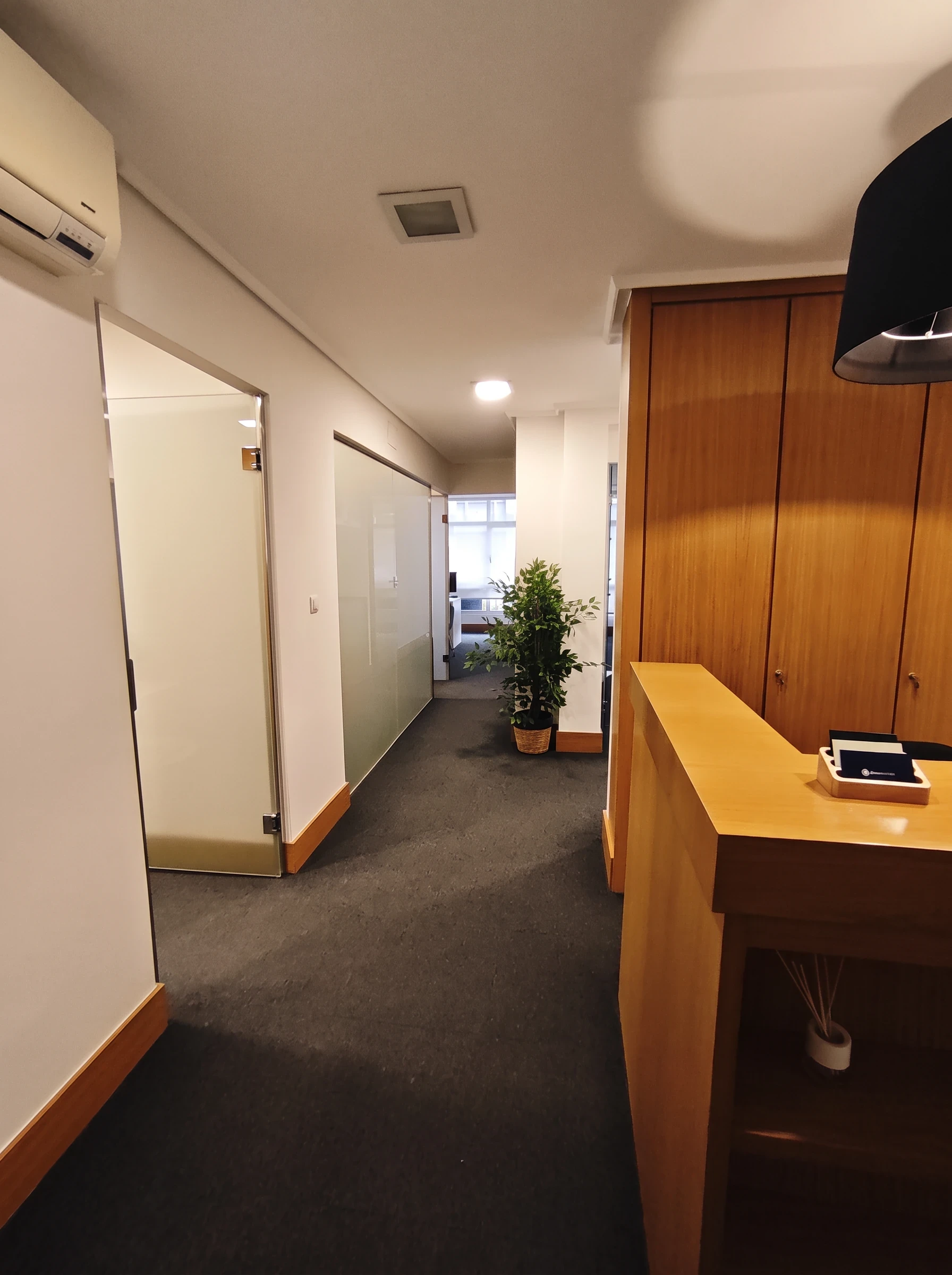 Pasillo del centro con puertas de cristal, pared de madera y una planta al fondo.