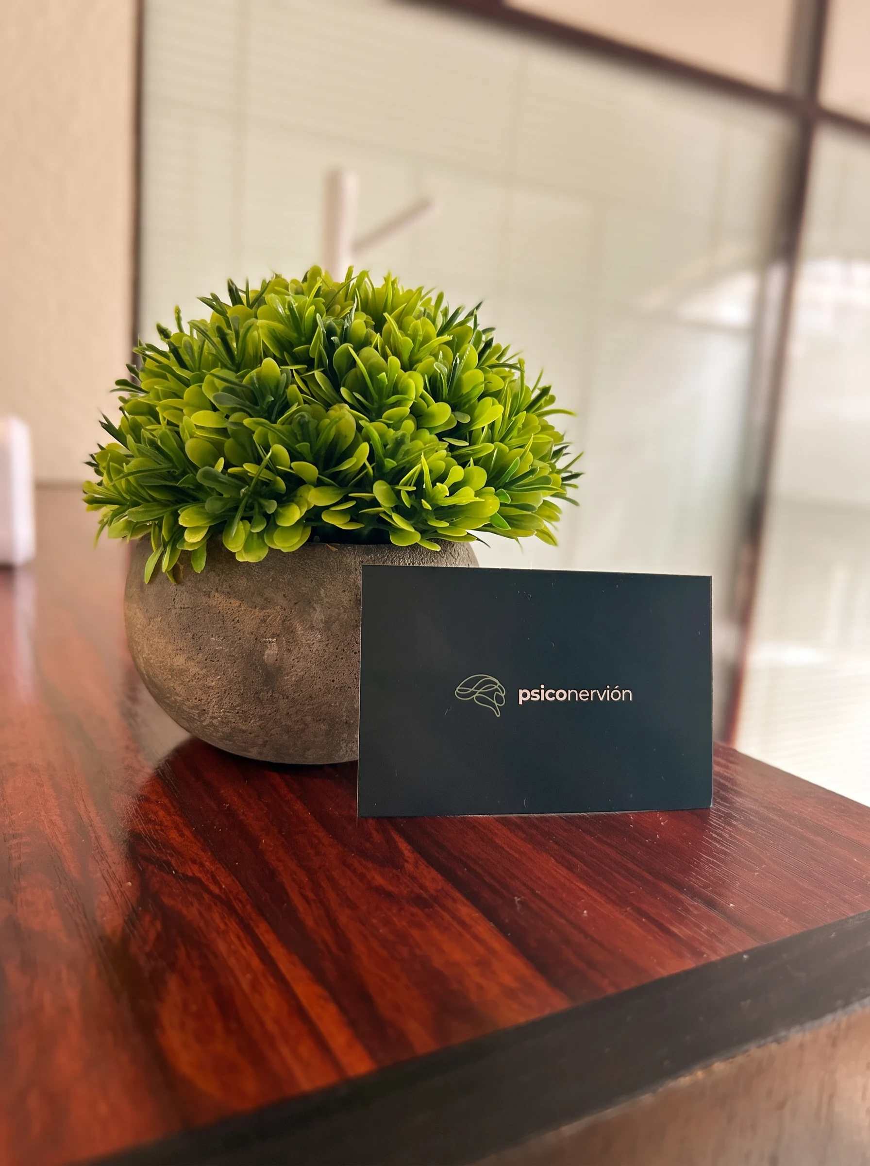 Tarjeta de Psiconervión junto a una planta sobre un mueble de madera del centro Psiconervión Barakaldo – Herriko Plaza.