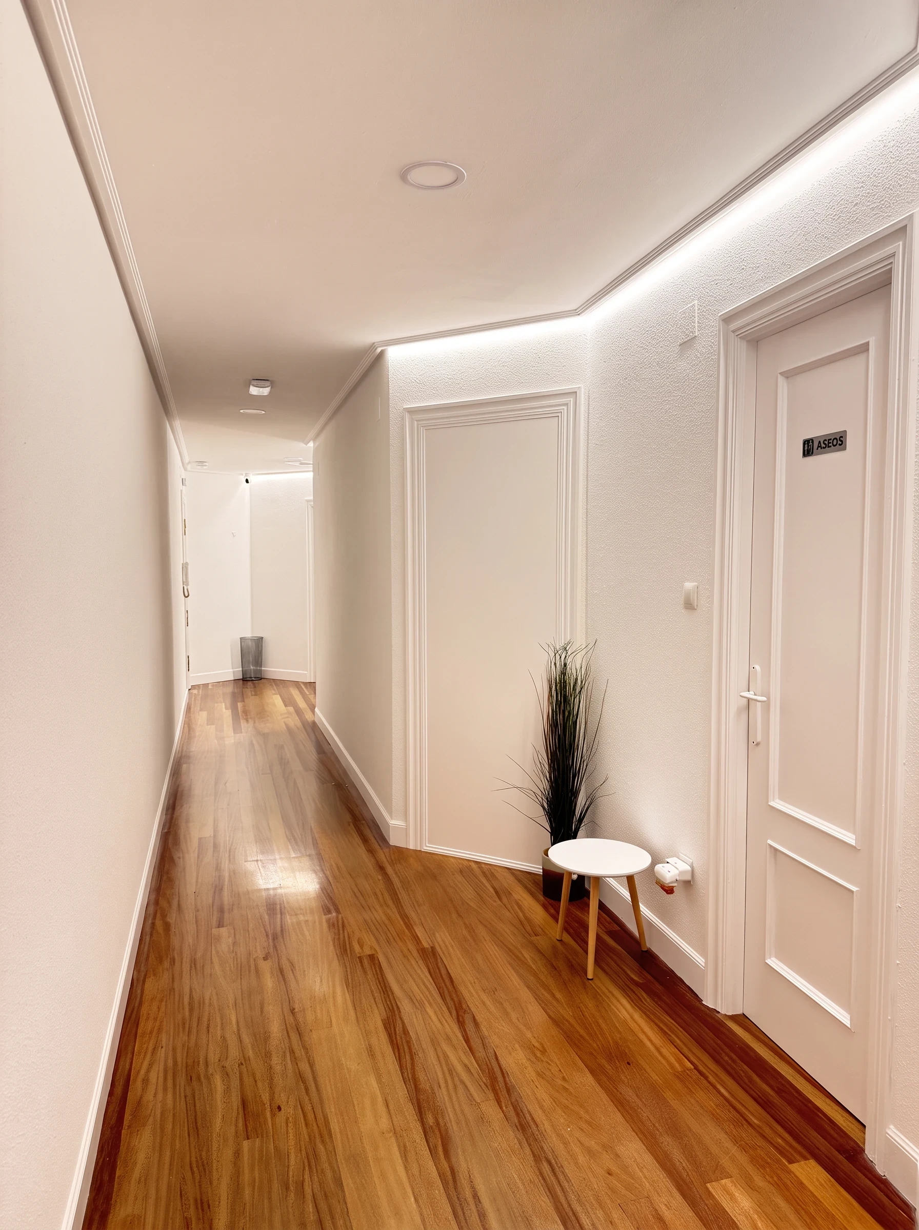 Pasillo del centro con suelo de madera, puertas blancas y una planta junto a la pared.