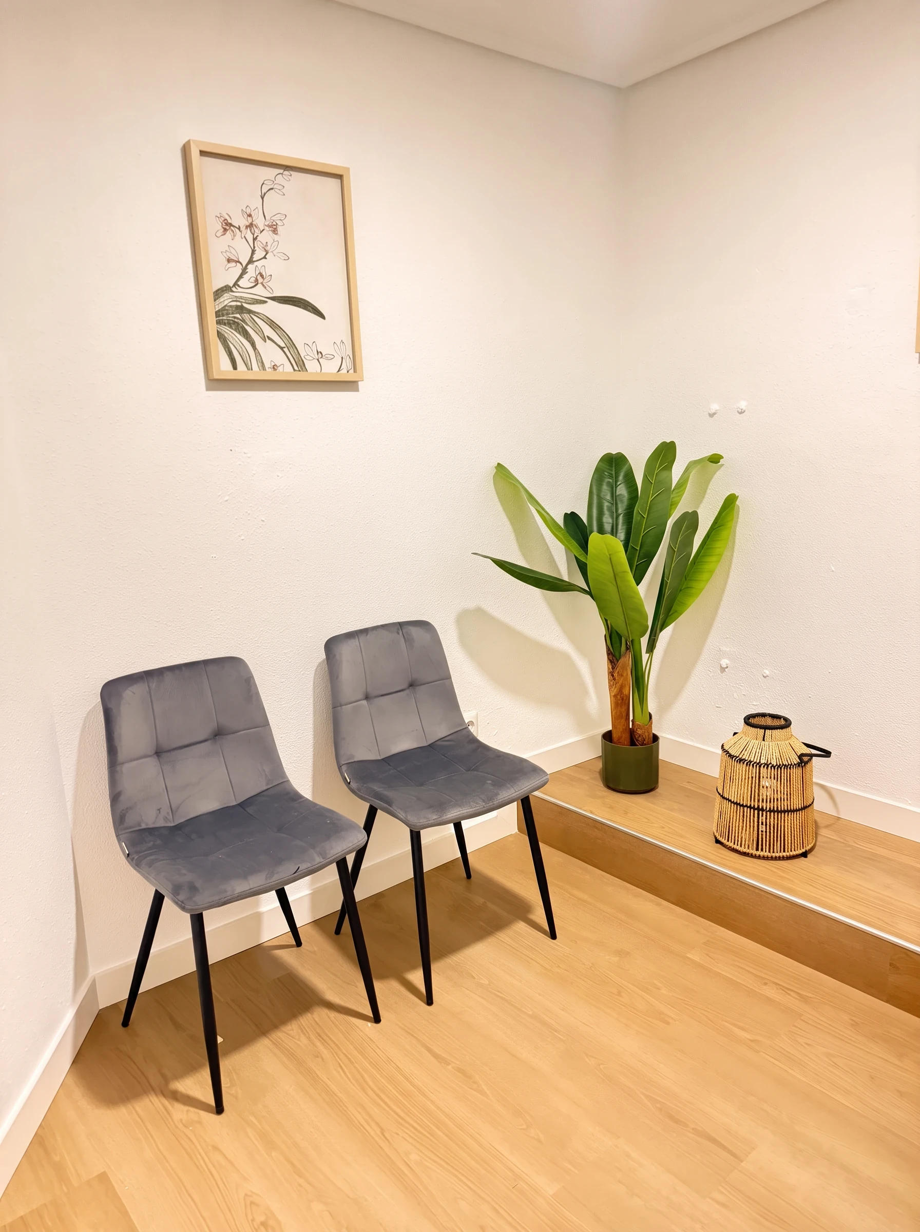 Sala de espera con dos sillas grises, una planta y un cuadro botánico.