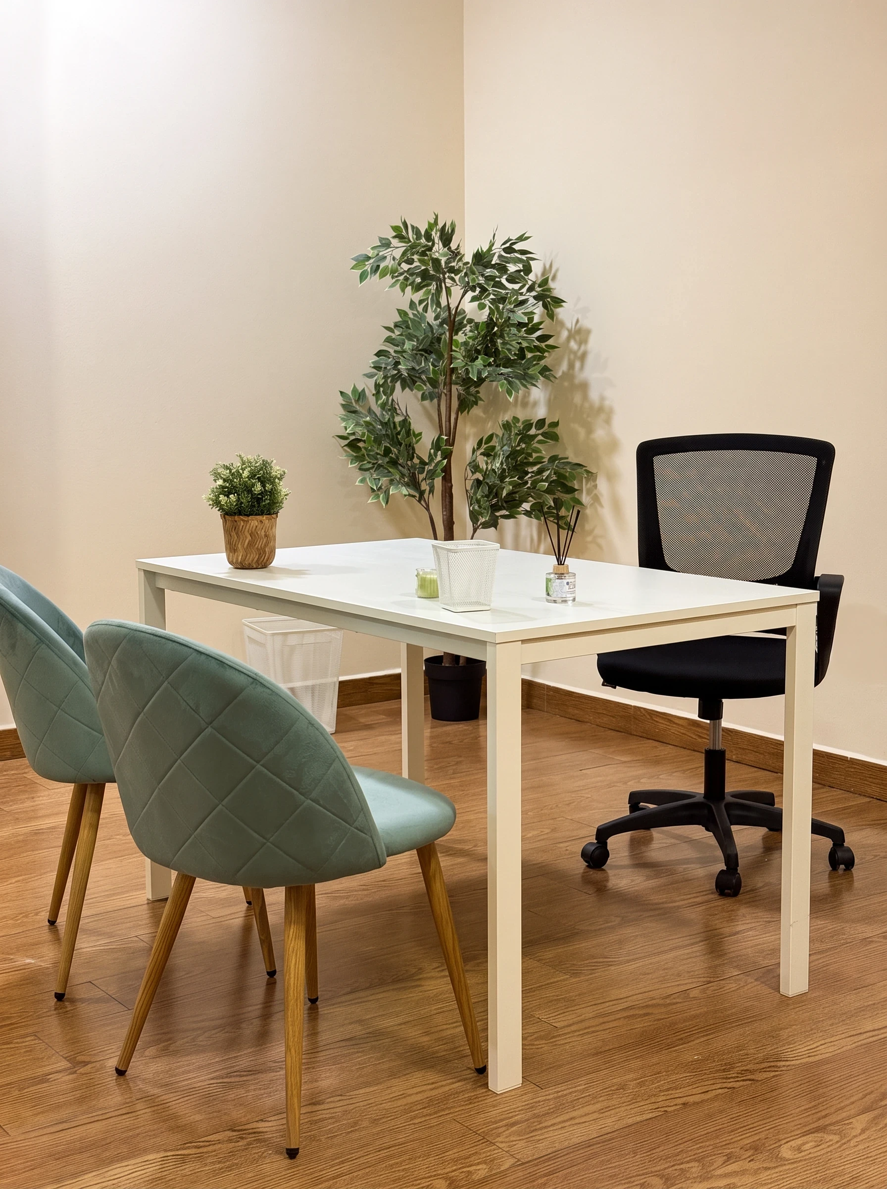 Consulta con mesa blanca, dos sillas turquesa, una planta y un perchero de madera.