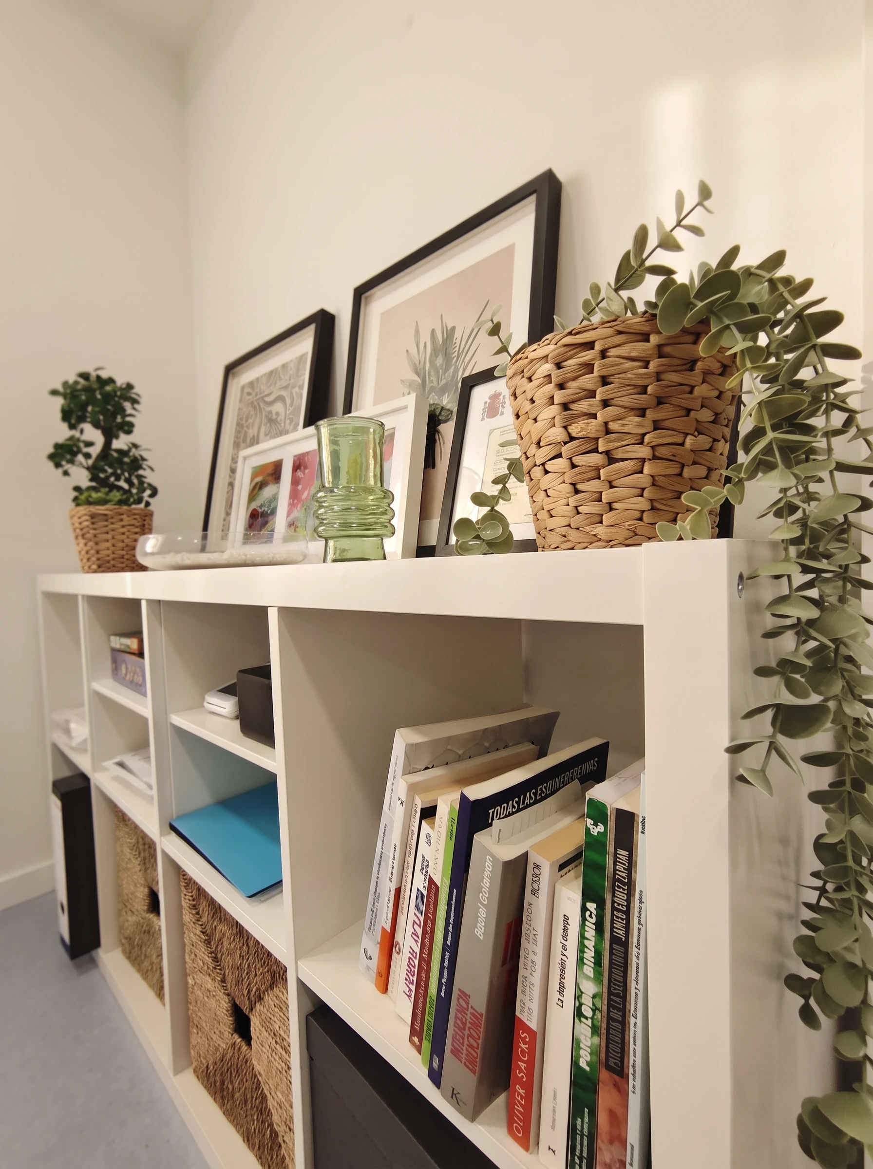 Estantería blanca con libros, cestas, un bonsái, cuadros y una planta colgante.