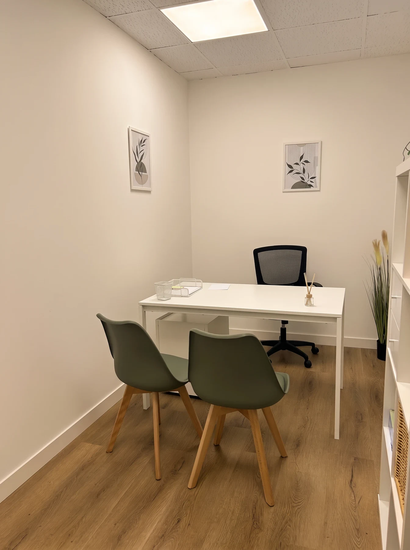 Consulta con mesa blanca, dos sillas verdes, láminas botánicas en la pared y una planta.