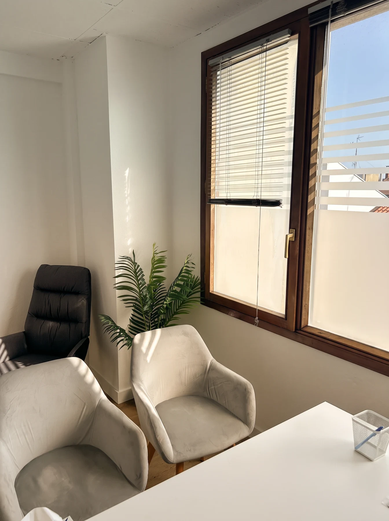 Rincón de la consulta con dos butacas grises, un sillón y una palmera junto a la ventana.